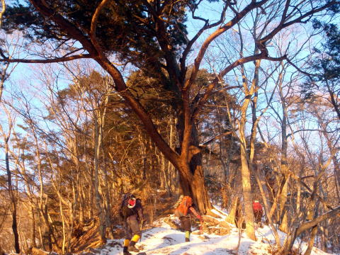 2014.1.12-13　鳳凰山（地蔵岳）　（雪山）