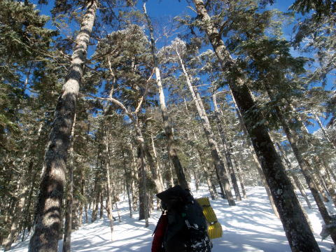 2014.3.22-23 越百山(雪山)