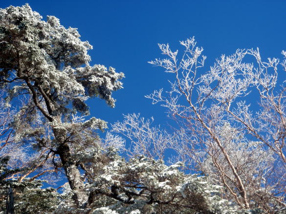 2014.3.22-23 越百山(雪山)