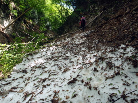 2014.5.17 軍刀利沢(沢登り)
