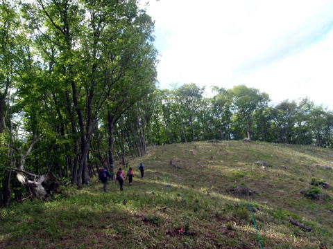 2014.5.17 軍刀利沢(沢登り)