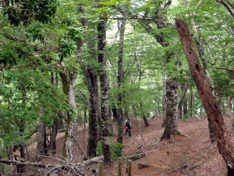 2014.6.21 モロクボ沢(沢登り)