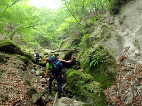 2014.6.21 モロクボ沢(沢登り)