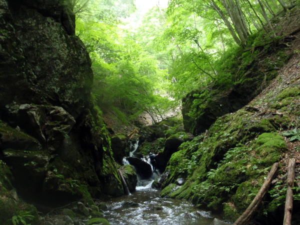 2014.7.12 逆川(沢登り)
