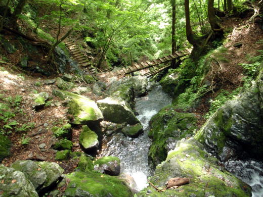 2014.7.12 逆川(沢登り)
