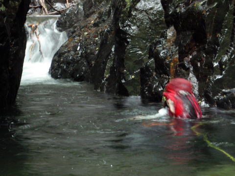 2014.7.20-21 大常木谷(沢登り)