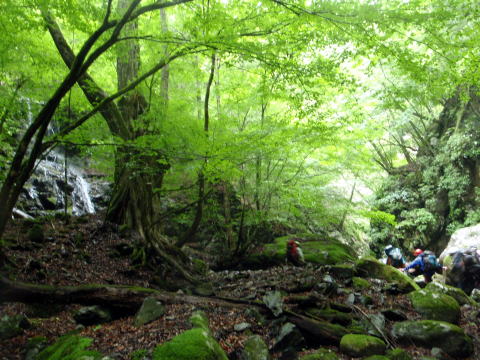 2014.7.20-21 大常木谷(沢登り)