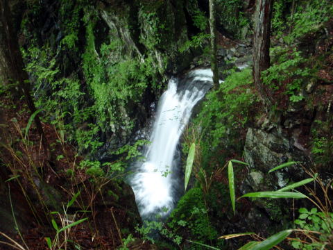 2014.7.20-21 大常木谷(沢登り)