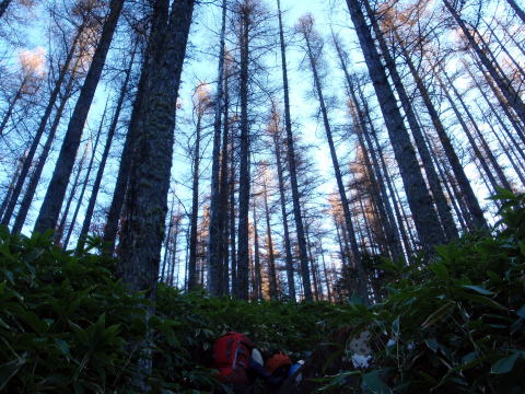 2014.10.25-26 蓼科山(尾根歩き)