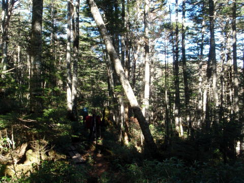 2014.10.25-26 蓼科山(尾根歩き)
