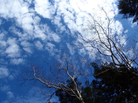 2014.10.25-26 蓼科山(尾根歩き)