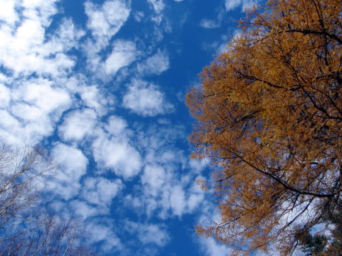 2014.10.25-26 蓼科山(尾根歩き)