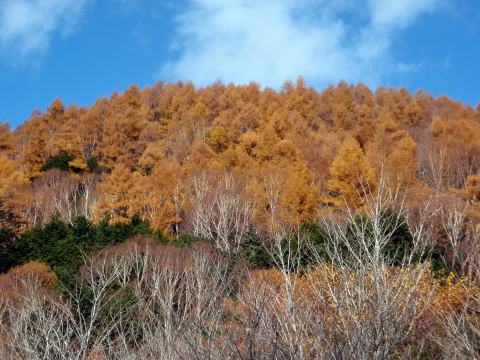 2014.10.25-26 蓼科山(尾根歩き)