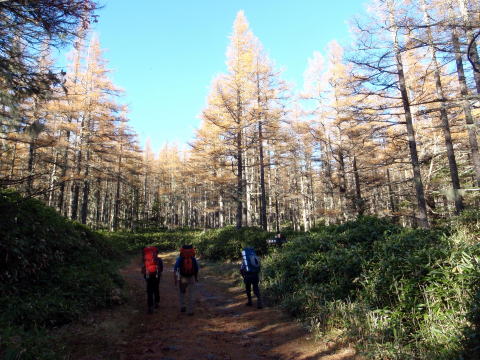 2014.10.25-26 蓼科山(尾根歩き)