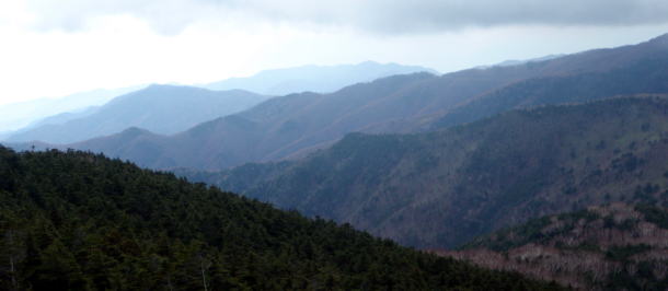 2014.11.8　東奥山窪・黒金山（尾根歩き）