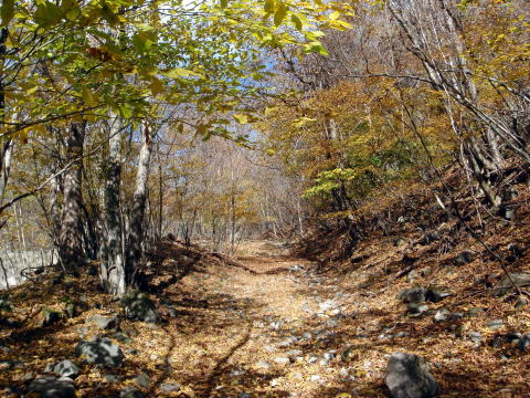 2014.11.8　東奥山窪・黒金山（尾根歩き）