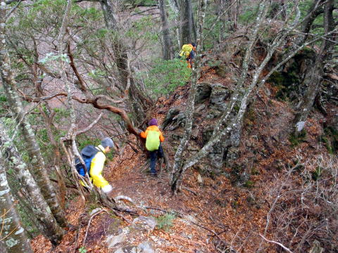 2014.11.29　鷹ノ巣山（尾根歩き）