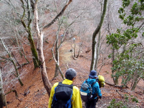 2014.11.29　鷹ノ巣山（尾根歩き）