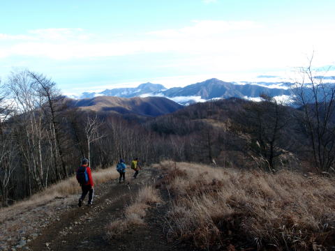 2014.11.29　鷹ノ巣山（尾根歩き）