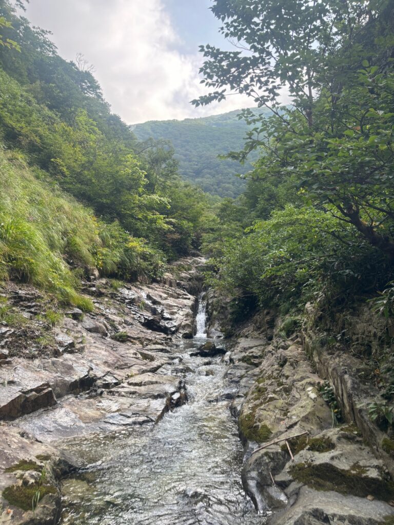 2025.8.30-31 谷川 万太郎谷本谷(沢登り)