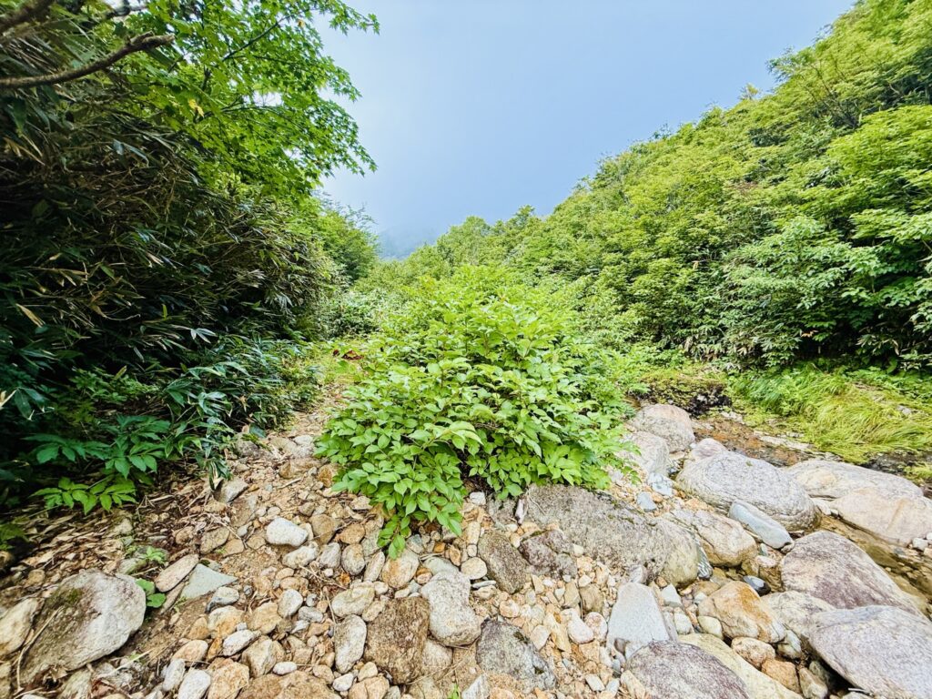 2025.9.27-28　湯檜曽川本谷（沢登り）
