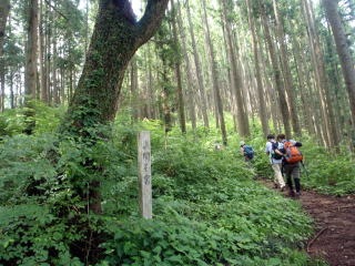 2011.7.2 松生山(尾根歩き)