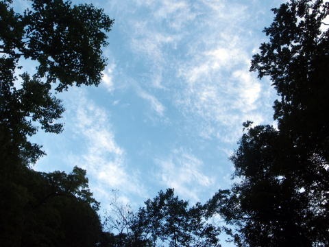 2011.8.6-7　阿武隈川本谷（沢登り）