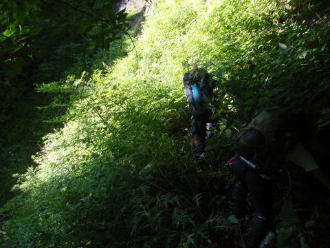 2011.8.6-7　阿武隈川本谷（沢登り）