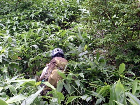 2011.8.6-7　阿武隈川本谷（沢登り）