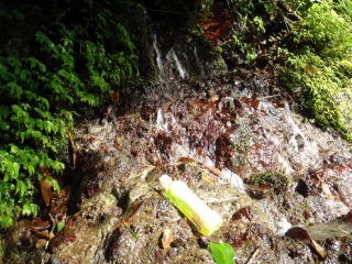 2011.9.11　丹沢 懸垂岩　新茅ノ沢（沢登り）