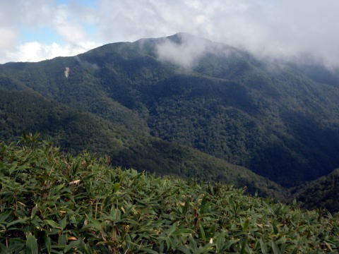 大蛇尾川西俣 東俣（沢登り）