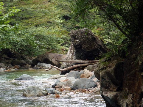大蛇尾川西俣 東俣（沢登り）