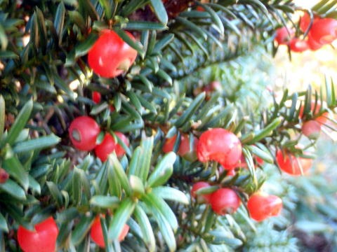 2011.10.8-10　穴堂沢 カケス沢（沢登り）