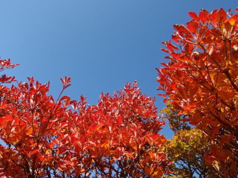 2011.10.8-10　穴堂沢 カケス沢（沢登り）