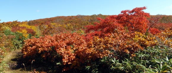 2011.10.8-10　穴堂沢 カケス沢（沢登り）