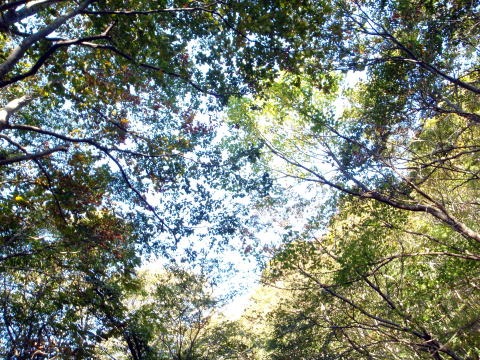2011.10.8-10　穴堂沢 カケス沢（沢登り）