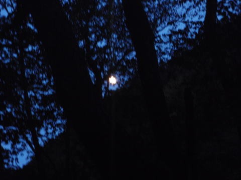 2011.10.8-10　穴堂沢 カケス沢（沢登り）