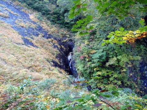 2011.10.8-10　穴堂沢 カケス沢（沢登り）