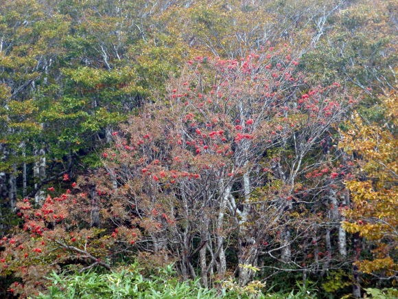 2011.10.8-10　穴堂沢 カケス沢（沢登り）