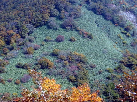 2011.10.8-10　穴堂沢 カケス沢（沢登り）