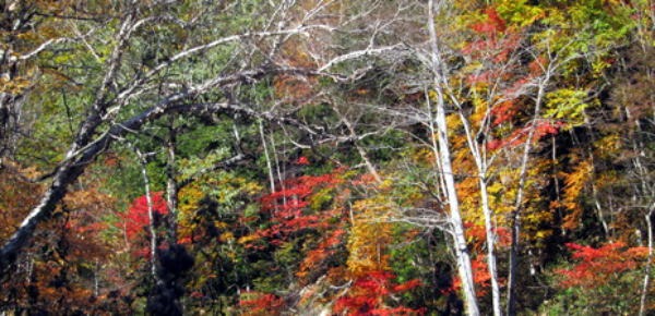 2011.10.15　大薙沢右俣 四郎沢（沢登り）