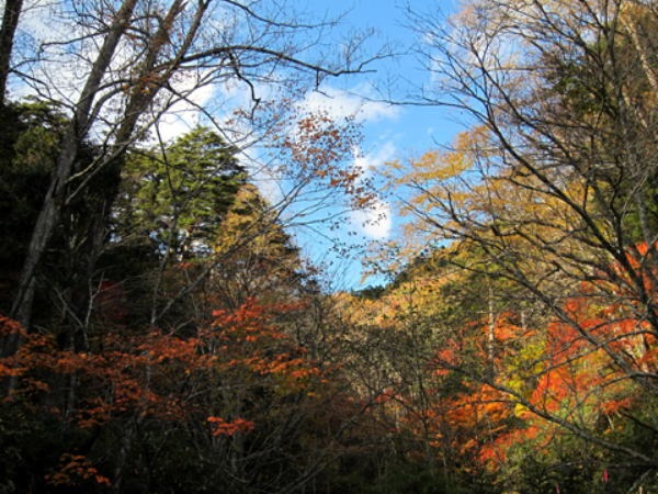 2011.10.15　大薙沢右俣 四郎沢（沢登り）