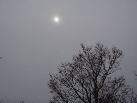 2011.11.5　湯ノ倉山（尾根歩き）