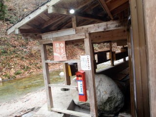 2011.11.5　湯ノ倉山（尾根歩き）