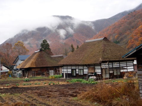 2011.11.5　湯ノ倉山（尾根歩き）