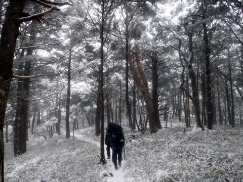 2025.3.29-30 八ツ・権現岳(雪山)