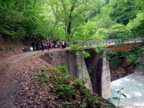 2025.5.24-25 赤湯山菜山行(ハイキング・イベント)