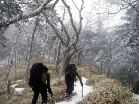 2025.3.29-30 八ツ・権現岳(雪山)