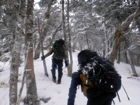 2025.3.29-30 八ツ・権現岳(雪山)