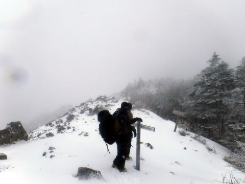 2025.3.29-30 八ツ・権現岳(雪山)
